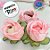 Forminha para Doces Finos - Rainha Cor Rosa Bebe - 30 unidades - Decora Doces - Rizzo - Imagem 6