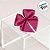 Lacinho de Fita de Cetim Pink 22mm - 5cm - Cor 303 - 12 unidades - Progresso - Rizzo - Imagem 1
