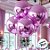 Balão de Festa Metalizado 20'' 50cm - Esphera Lilás Redondo - 1 unidade - Cromus - Rizzo - Imagem 2