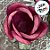 Forminha para Doces Finos - Rainha Rosa Framboesa Médio - 30 unidades - Decora Doces - Rizzo - Imagem 2