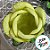 Forminha para Doces Finos - Rainha Verde Oregano Matte - 30 unidades - Decora Doces - Rizzo - Imagem 2