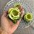 Forminha para Doces Finos - Rainha Verde Oregano Matte - 30 unidades - Decora Doces - Rizzo - Imagem 3
