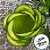 Forminha para Doces Finos - Rainha Verde Limão Claro - 30 unidades - Decora Doces - Rizzo - Imagem 2