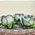 Forminha para Doces Finos - Rainha Verde Oliva Matte - 30 unidades - Decora Doces - Rizzo - Imagem 1