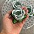 Forminha para Doces Finos - Rainha Verde Oliva Matte - 30 unidades - Decora Doces - Rizzo - Imagem 3