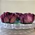 Forminha para Doces Finos - Bela Marrom - 40 unidades - Decora Doces - Rizzo - Imagem 1