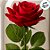 Enfeite Decorativo Rosa Encantada em Cúpula de Vidro Com Led - 11x22cm - 1 unidade - Rizzo - Imagem 2