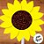 Pick Decorativo de Festa Junina - Girassol - 6 unidades - Rizzo - Imagem 2
