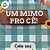 Cartão Lembrancinha Festa Junina "Um Mimo Pro Cê" - Xadrez Verde - 10x8cm - 10 unidades - Stickr - Rizzo - Imagem 2