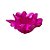 Forminha Para Doces Finos - Lírio Pink - 40 unidades - Decora Doces - Rizzo - Imagem 2