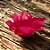 Forminha Para Doces Finos - Lírio Vermelho - 40 unidades - Decora Doces - Rizzo - Imagem 1