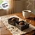 Caixa Pvc Lembrancinha N°4 Base Preto Com Bolinhas Brancas - 8,5x8,5x3,5cm - 10 unidades - Assk - Rizzo - Imagem 3