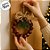Guirlanda De Natal Com Sinos - Verde - 16cm - 1 unidade - Rizzo - Imagem 6