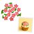 Confeito de Açúcar - Hibisco Rosa com Folhas - 24 unidades - Rizzo - Imagem 1