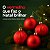 Bola de Natal - Vermelha - Matte e Gomo - 8cm - 4 unidades - Cromus - Rizzo - Imagem 4