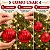 Bola de Natal - Vermelha - Gomo e Glitter - 10cm - 2 unidades - Cromus - Rizzo - Imagem 4