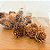 Saquinho com Mini Pinhas - 100g - Artlille - Rizzo - Imagem 1