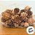 Saquinho com Mini Pinhas - 100g - Artlille - Rizzo - Imagem 2