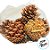 Saquinho com Pinhas - 150g - 8 unidades - Artlille - Rizzo - Imagem 3