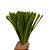 Haste de Chenille 30cm - Verde Musgo - 100 unidades - Art Montagem - Rizzo - Imagem 3