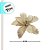 Poinsettia Decorativa - Bege e Dourado - 38x14x36cm - 1 unidade - Cromus - Rizzo - Imagem 2
