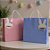 Tag Decorativa de Páscoa Em Acrílico - Coelhos - 2 unidades - Rizzo - Imagem 1