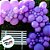 Balão Profissional Premium Uniq - Roxo Purple - São Roque - Rizzo - Imagem 3