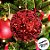 Bolas de Natal em Tubo - Vermelho com Glitter e Lantejoulas - 12cm - 2 unidades - Rizzo - Imagem 4