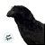 Enfeite Decorativo De Halloween - Corvo - 28x40x11,5cm - 1 unidade - Florarte  - Rizzo - Imagem 2