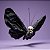 Enfeite Para Pendurar De Halloween - Borboleta Caveira - 31x38x5,5cm - 1 unidade - Florarte  - Rizzo - Imagem 1