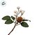 Galho Decorativo de Natal - Berry - Branco - 14cm - 1 unidade - Cromus - Rizzo - Imagem 3