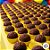 Forminha para Doces - Amarelo Candy - Número 04 - 100 unidades - Regina - Rizzo - Imagem 3