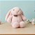 Coelho de Pelúcia Rosa com Tag - 30cm - 1 unidade - Rizzo - Imagem 3