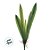 Haste Folha Permanente - Orquídea Cymbidium com Raiz - 42cm - 1 unidade - Cromus - Rizzo - Imagem 3