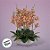 Haste Flor Permanente - Orquídea Cymbidium com Folha - Ocre - 36cm  - 1 unidade - Cromus - Rizzo - Imagem 2
