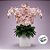 Haste Flor Permanente - Orquídea Phalaenopsis - Rosa Claro - 75cm  - 1 unidade - Cromus - Rizzo - Imagem 2