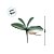 Haste Folha Permanente - Orquídea Phalaenopsis com Raiz - 28cm - 1 unidade - Cromus - Rizzo - Imagem 4