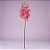 Haste Flor Permanente - Orquídea Phalaenopsis - Pink - 50cm - 1 unidade - Rizzo - Imagem 1