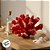 Enfeite Decorativo de Resina - Coral - Vermelho - 13,5x8,5cm - 1 unidade - Rizzo - Imagem 4