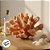 Enfeite Decorativo de Resina - Coral - Laranja - 13,5x8,5cm - 1 unidade - Rizzo - Imagem 4