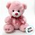 Urso de Pelúcia com Laço - Rosa - 17x21x12cm - 1 unidade - Rizzo - Imagem 2