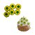 Confeito de Açúcar - Bolas de Futebol Verde e Amarelo - Copa do Mundo - 8 unidades - Abelha Confeiteira - Rizzo - Imagem 1
