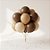Balão de Festa Latéx Fashion - Mistura de Café -  unidades - Sempertex - Rizzo - Imagem 1