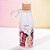 Garrafa Abre Fácil - Princesas - 530ml - Disney Original - 1 unidade - Plasútil - Rizzo - Imagem 1