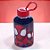 Mini Garrafa Spidey - 280ml - Disney Original - 1 unidade - Plasútil - Rizzo - Imagem 1