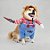 Fantasia Para Pet de Halloween - Boneco Chucky - Tamanho Único - 1 unidade - Cromus - Rizzo - Imagem 1