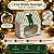 Caixa Maleta de Natal com Visor - Nostalgia - Verde - M 15x8x21cm - 1 unidade - Cromus - Rizzo - Imagem 2