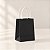Sacola de Papel Mini - Preto - PP 16x12x7cm - 10 unidades - Cromus - Rizzo - Imagem 1