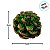 Saquinho com Pinhas - Marrom e Musgo - 200g - 11 unidades - Cromus - Rizzo - Imagem 5