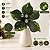 Poinsétia Decorativa - Verde com Glitter - 19cm - 1 unidade - Cromus - Rizzo - Imagem 4